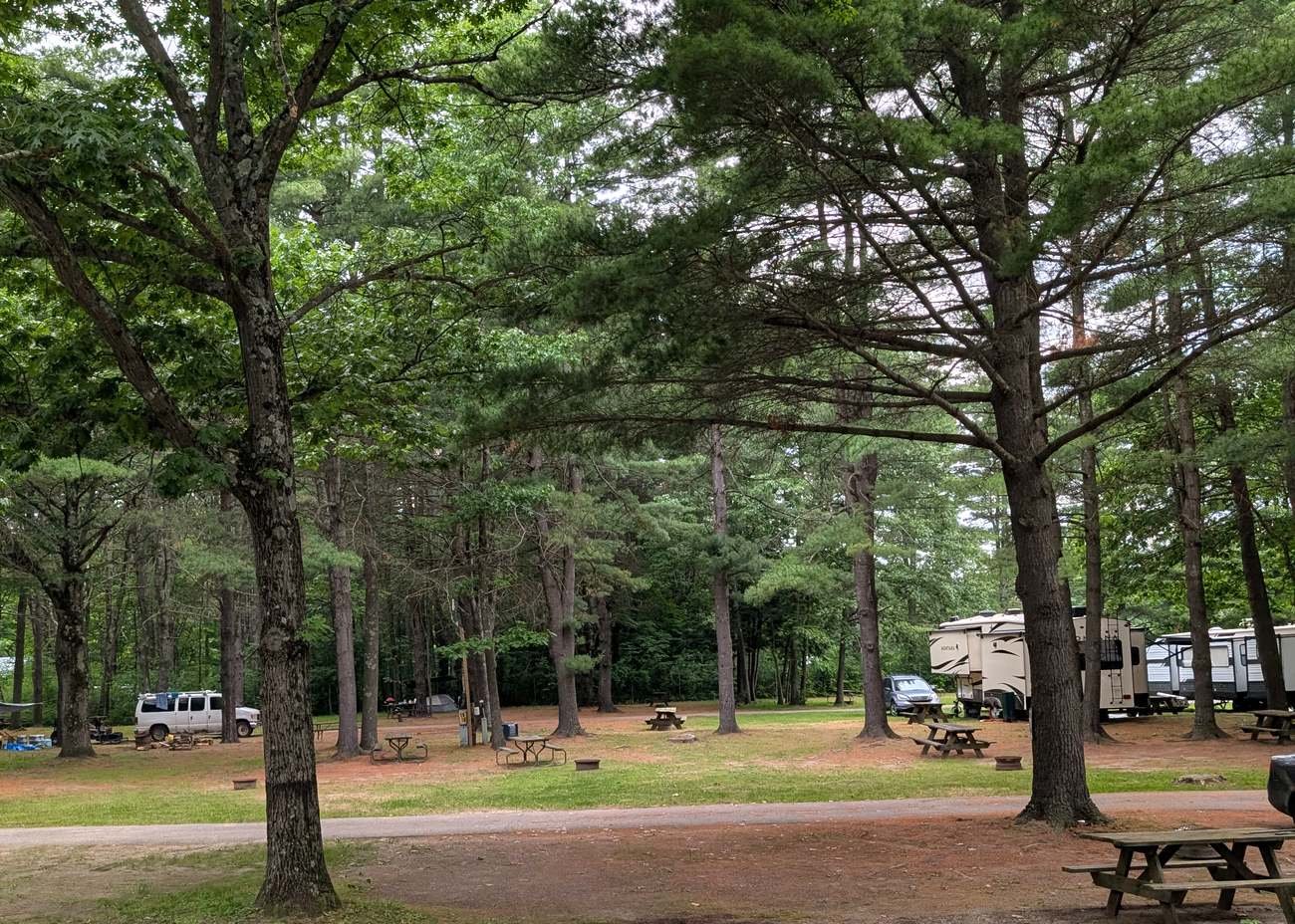 Shaded RV and tent sites under the pines at Malletts Bay Campground