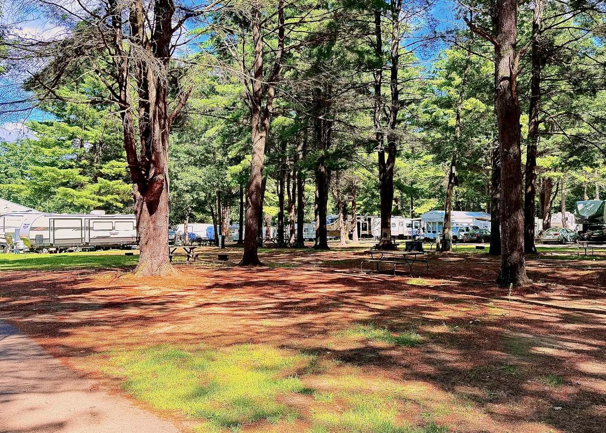 RVs and tents on shaded sites with picnic tables