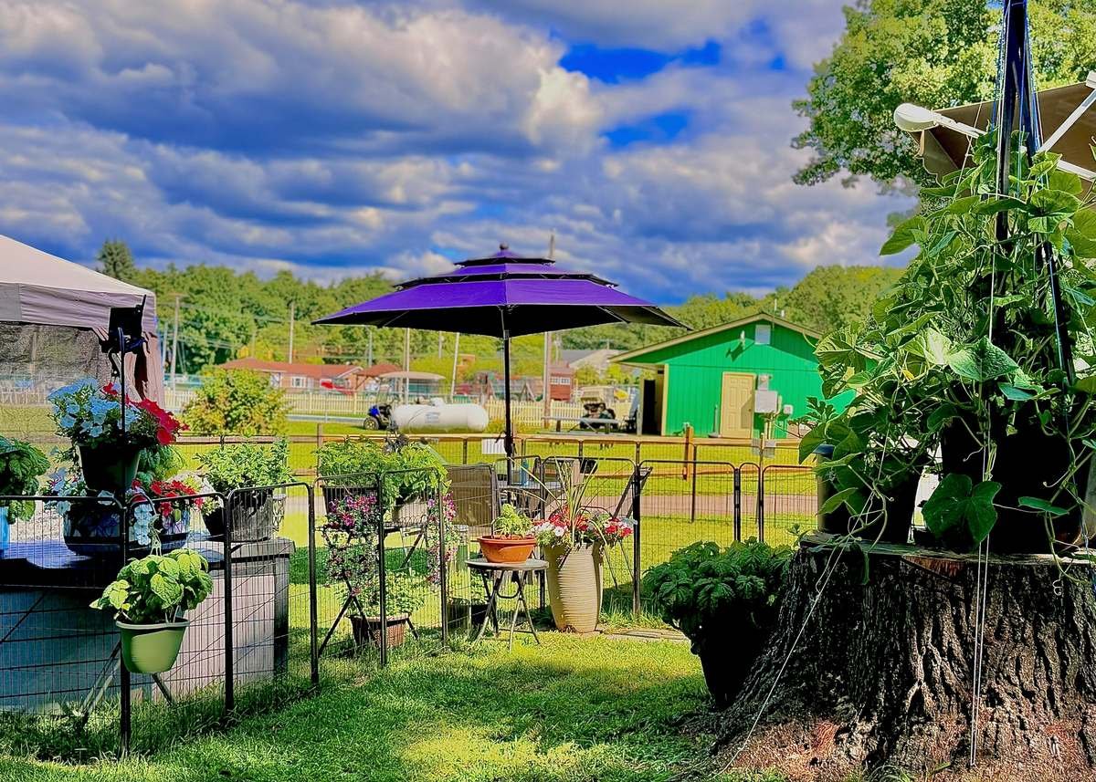 Un emplacement saisonnier avec jardin de fleurs et auvent