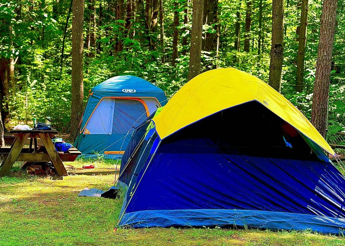 Deux tentes sur un emplacement ombragé avec table et bois de chauffage